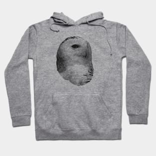 Snowy owl Hoodie